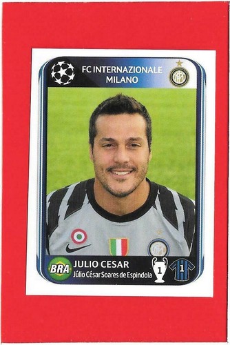 Champions league panini - champions,